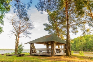 Беседки для приготовления шашлыка - изображение